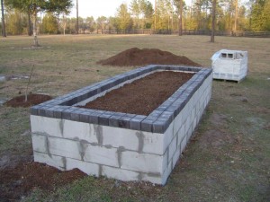 First raised bed
