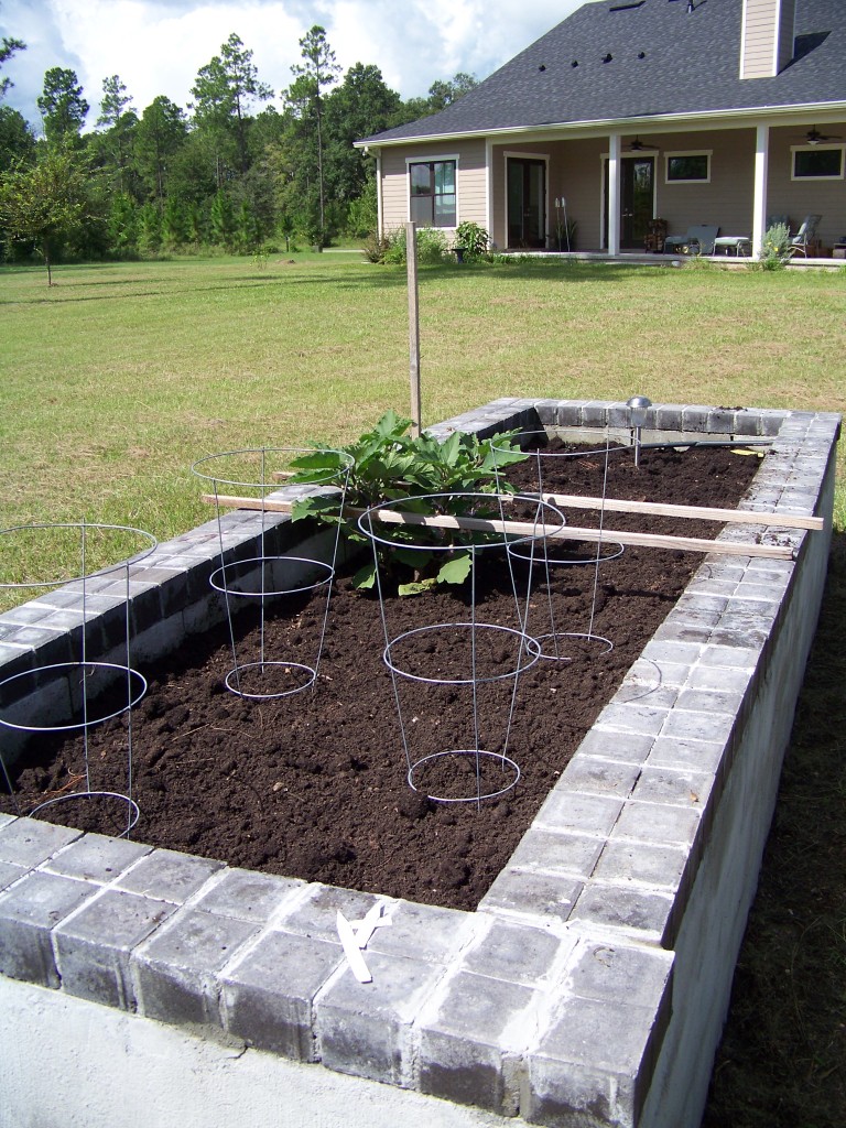 Right raised bed