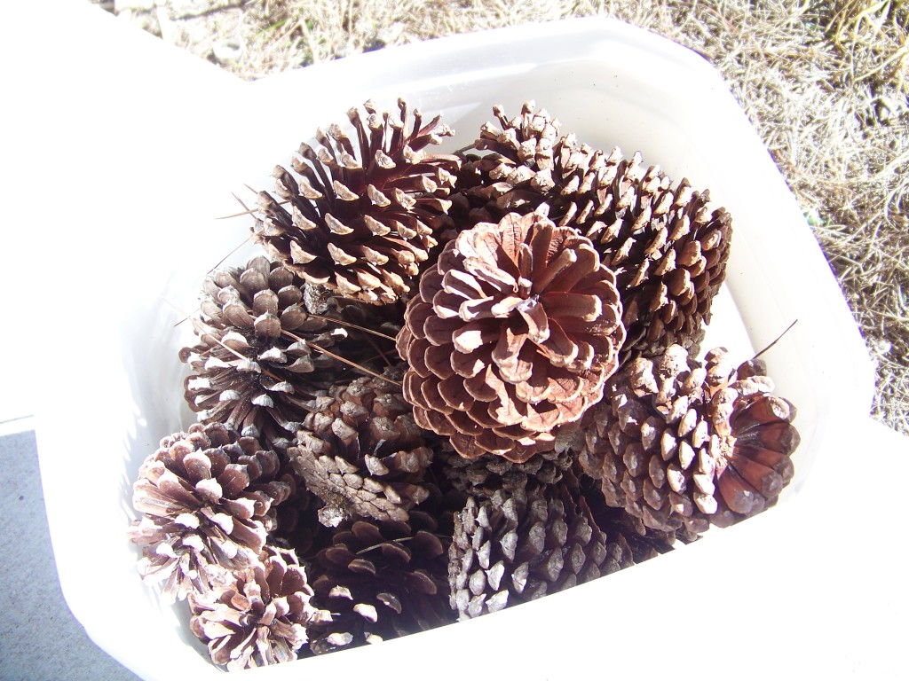 Bucket of cones